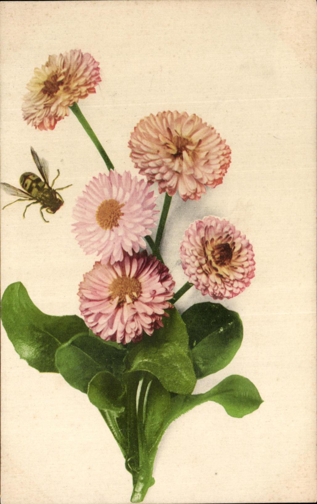 CPA Fantaisie Fleurs Abeille