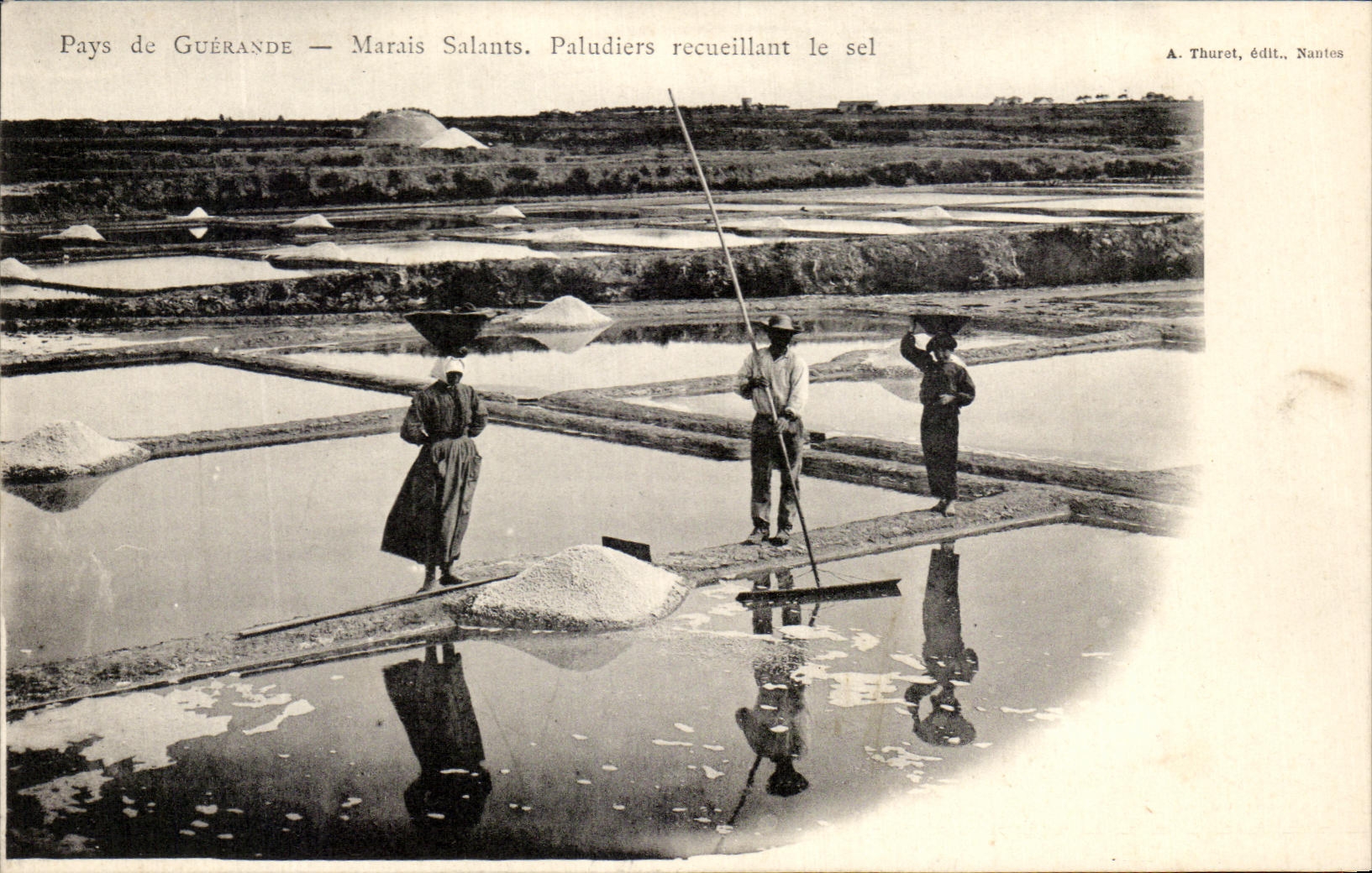 CPA Country Guerande Salt-water Marshes Paludiers Collecting salt