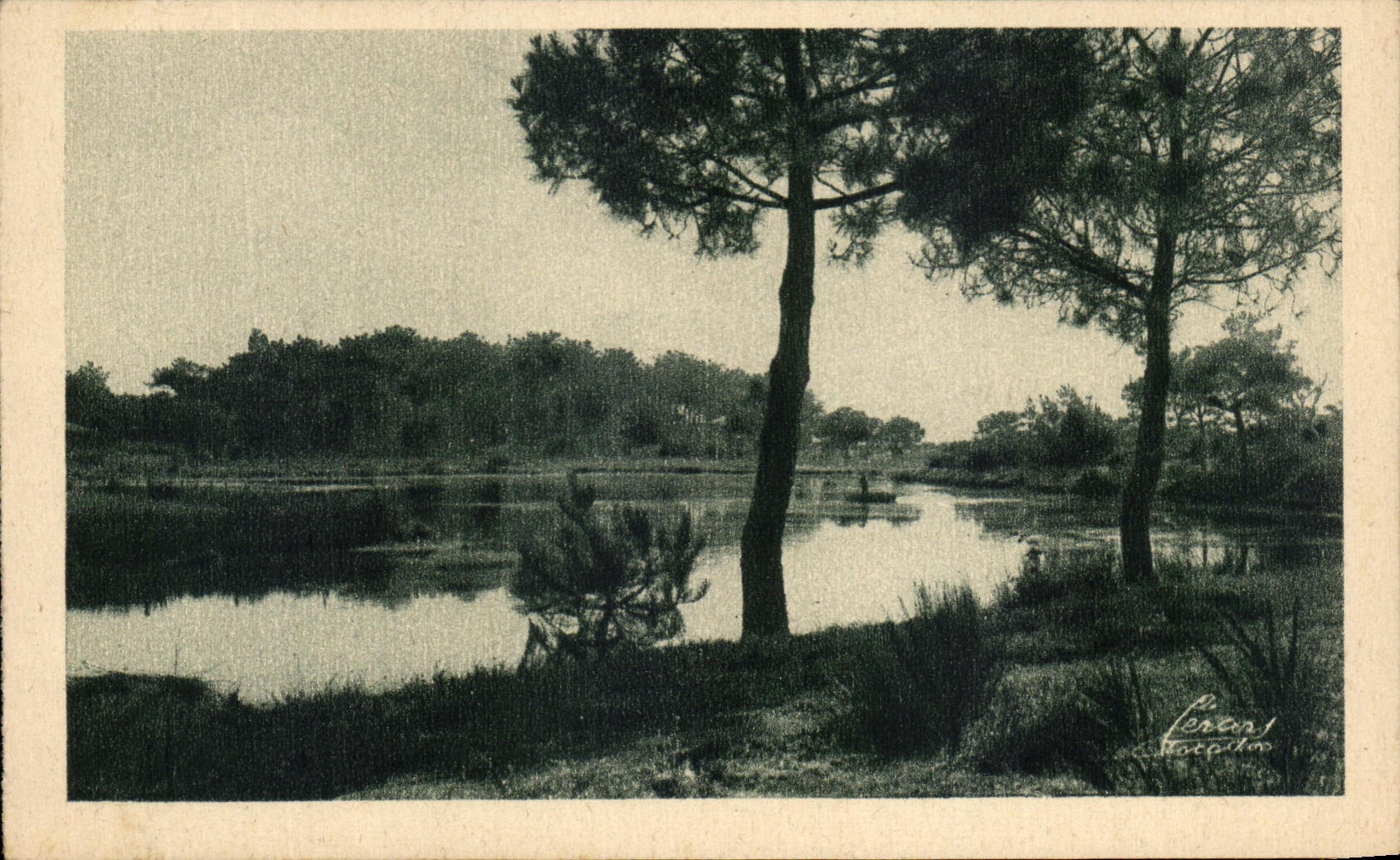 CPA Around the basin of Arcachon Tanks of Jacquets