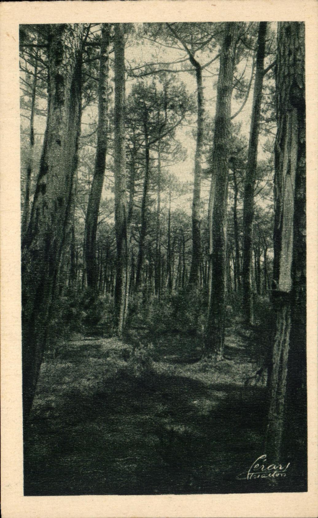 CPA Of Arcachon Around the Basin