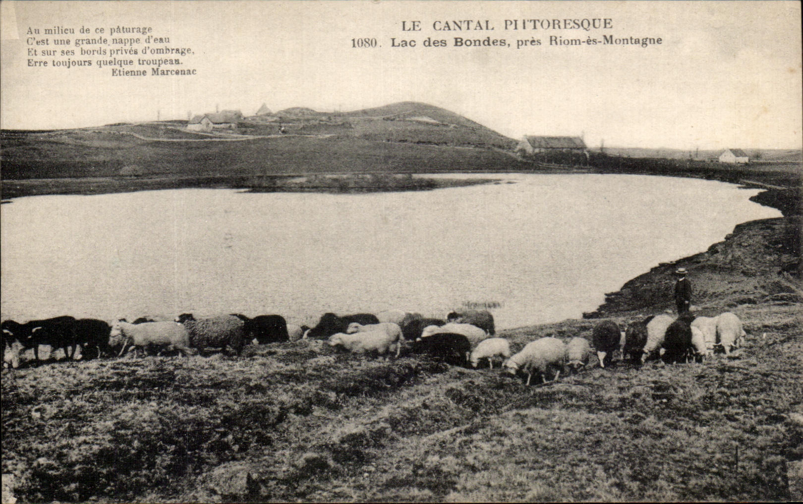 CPA Le Cantal Pittoresque Lac des Bondes Pres Riom es Montagne Moutons 