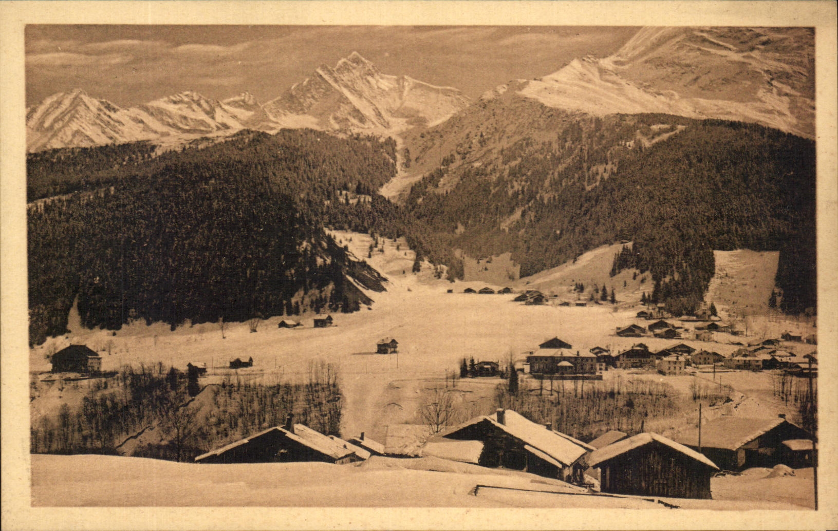 CPA Contaminate Them the Needle of Knitting and the Needle of Bionnassey