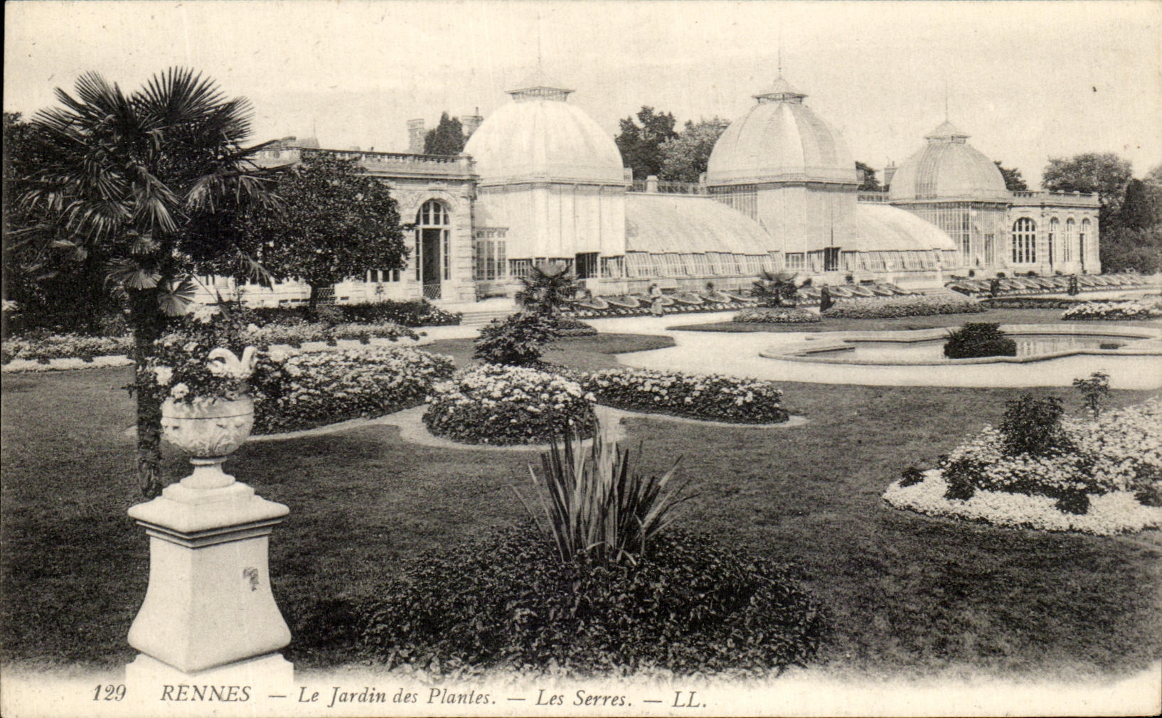 CPA Rennes Le Jardin Des Plantes Les Serres
