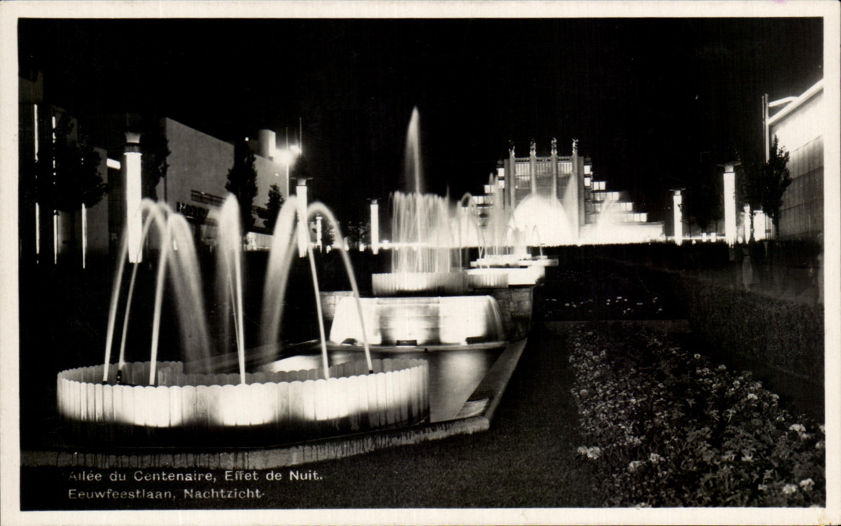 CPA Allee of Centenaire Night effect Fair of Brussels 1935