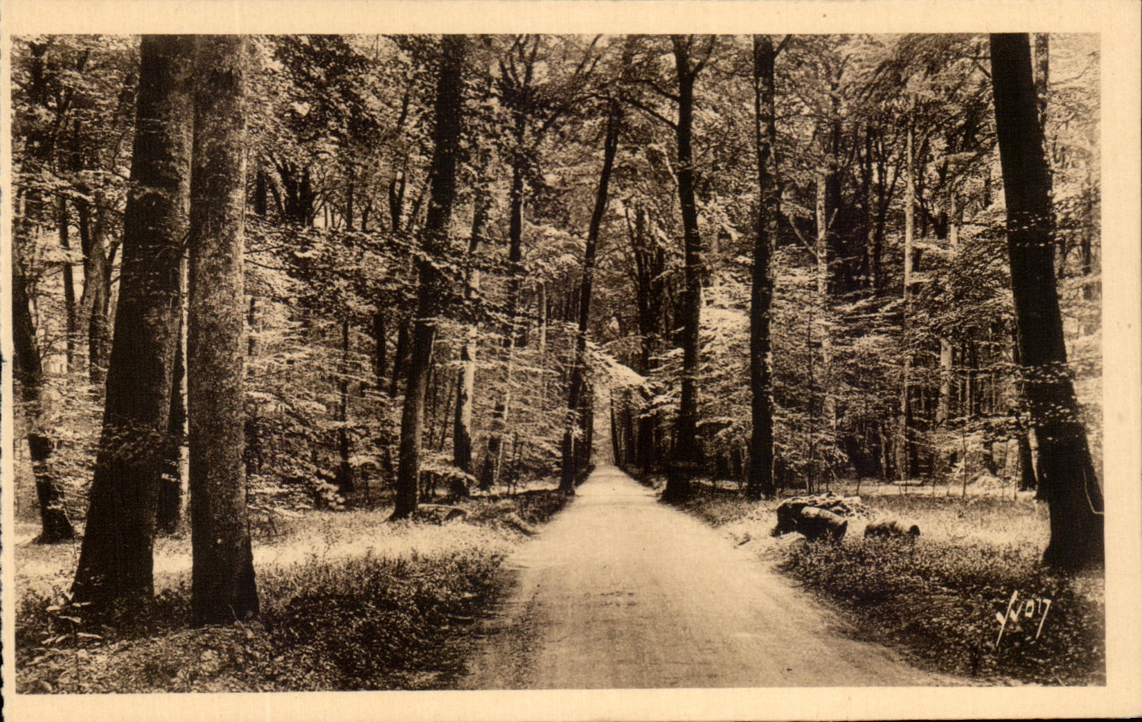 CPA Fontainebleau La Foret Ronde de Fontainebleau a Barbizon
