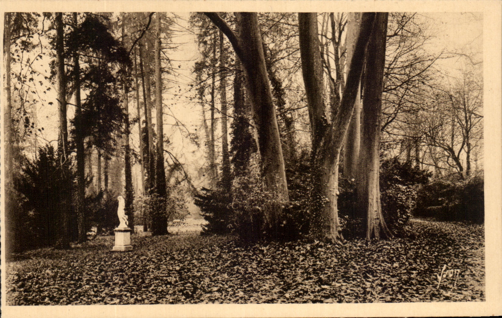 CPA Fontainebleau Jardins du Palais Allee des Platanes