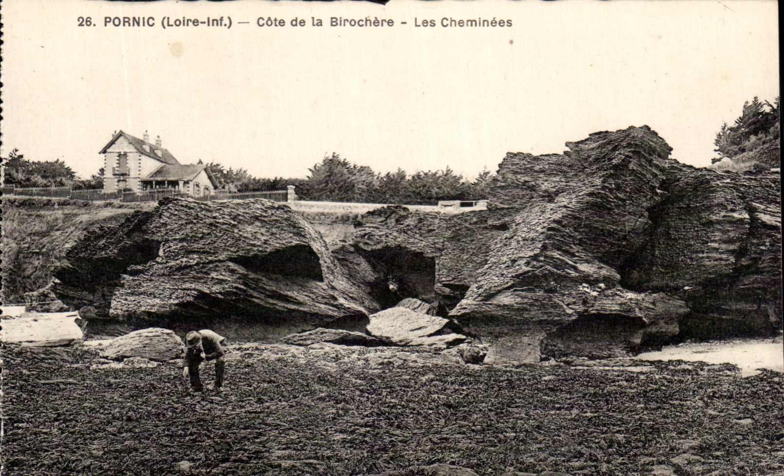 CPA Pornic Cote De La Birochere Les Cheminees