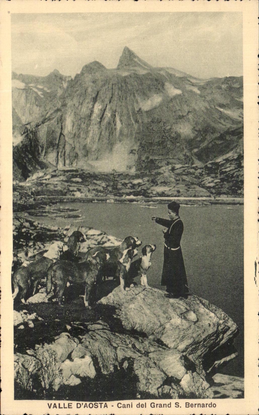 Perros grandes de Aosta Cani LED S Bernardo del d de CPA Valle