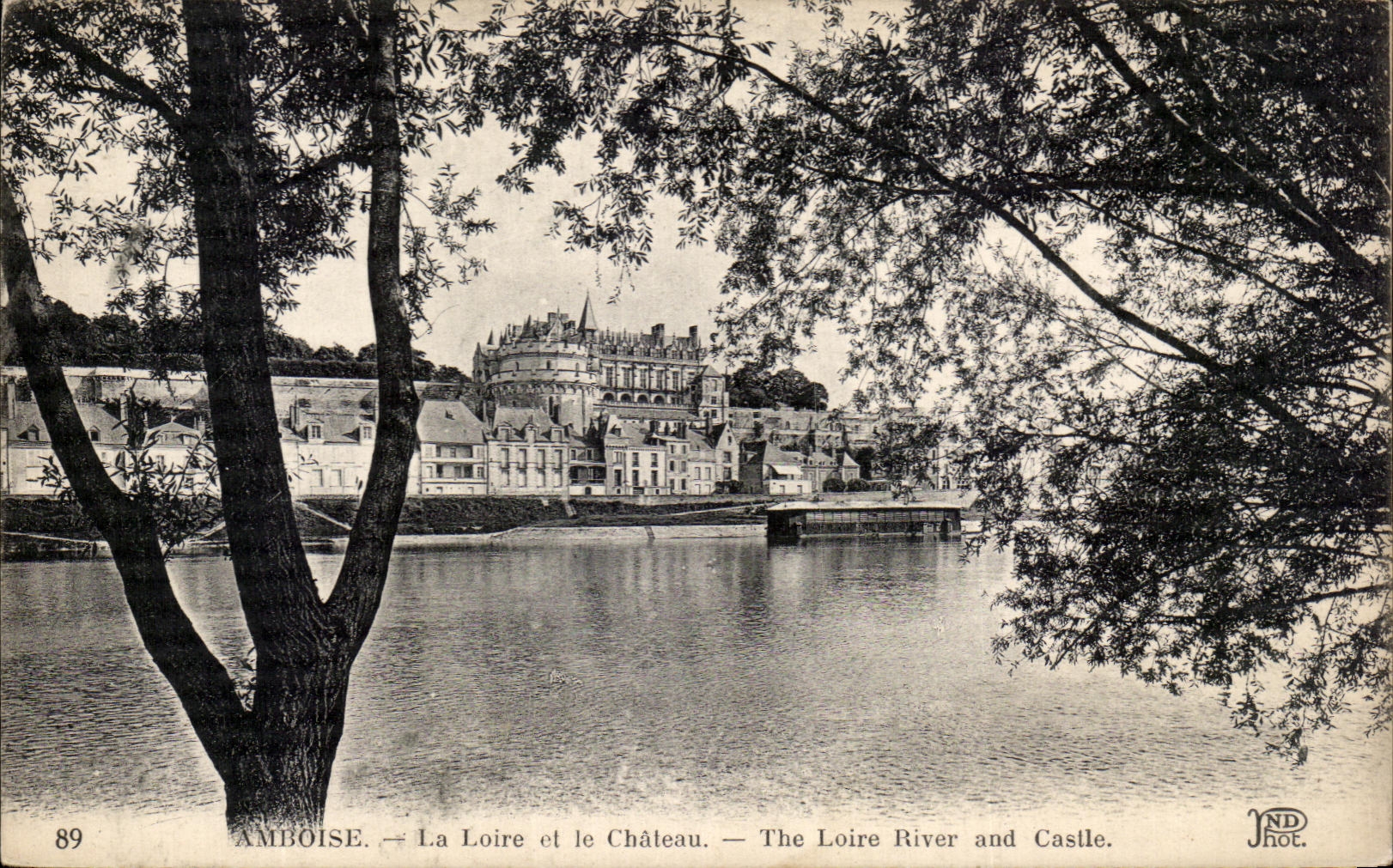 CPA Amboise La Loire Et Le Chateau 
