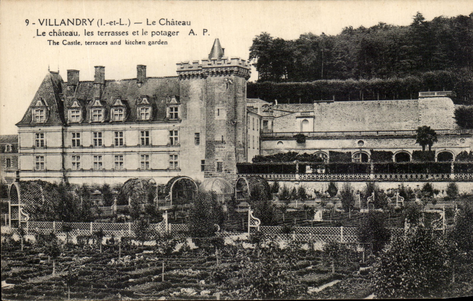 CPA Villandry Le Chateau Le Chateau les Terrasses et le Potager 