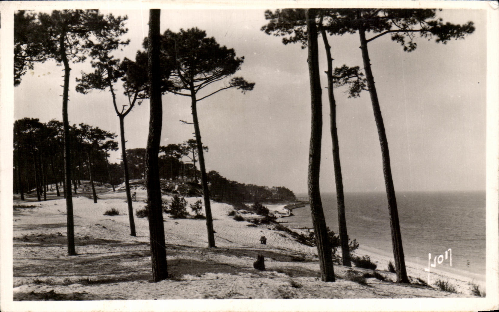 CPA Le Moulleau Arcachon Le parc des Abatilles et Vue sur les passes du bassin