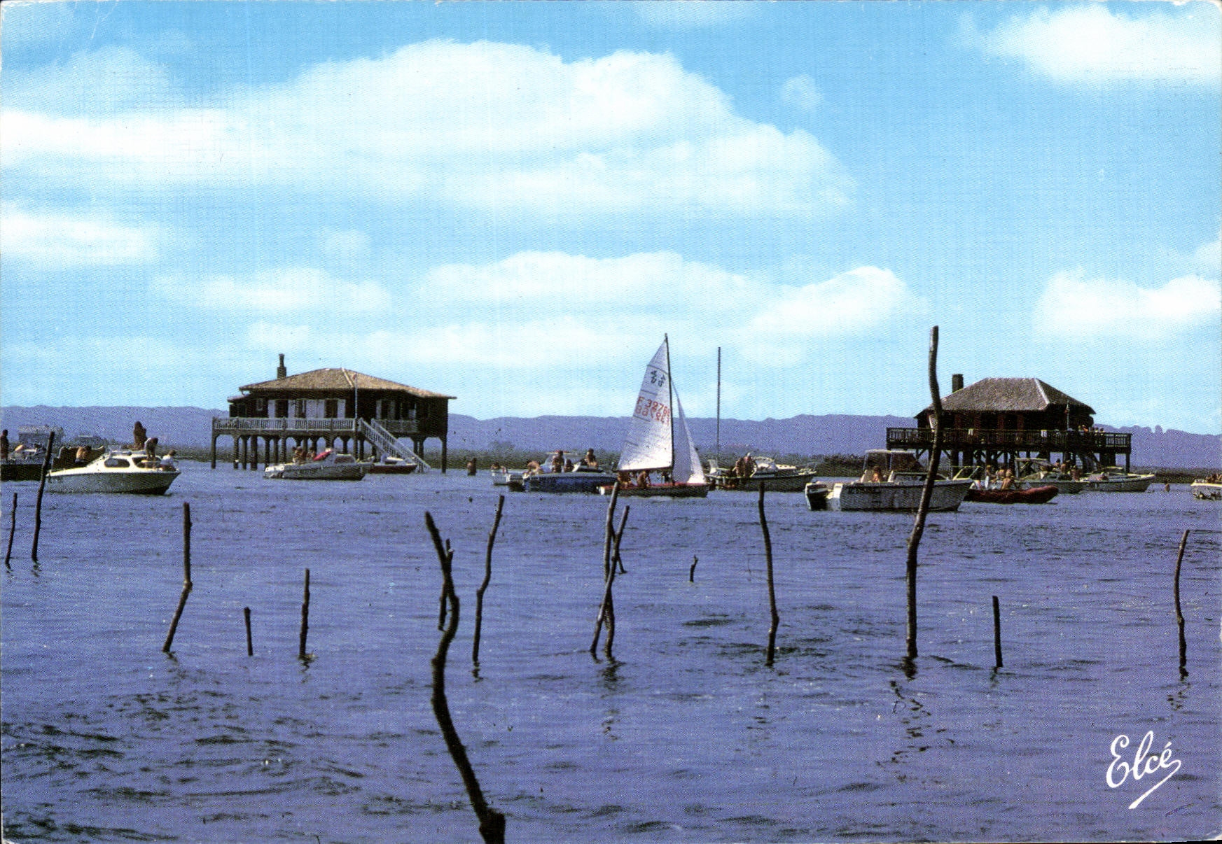 CPM Bassin d'Arcachon L'Lle Aux Oiseaux Au Centre Du Bassin d'Arcachon