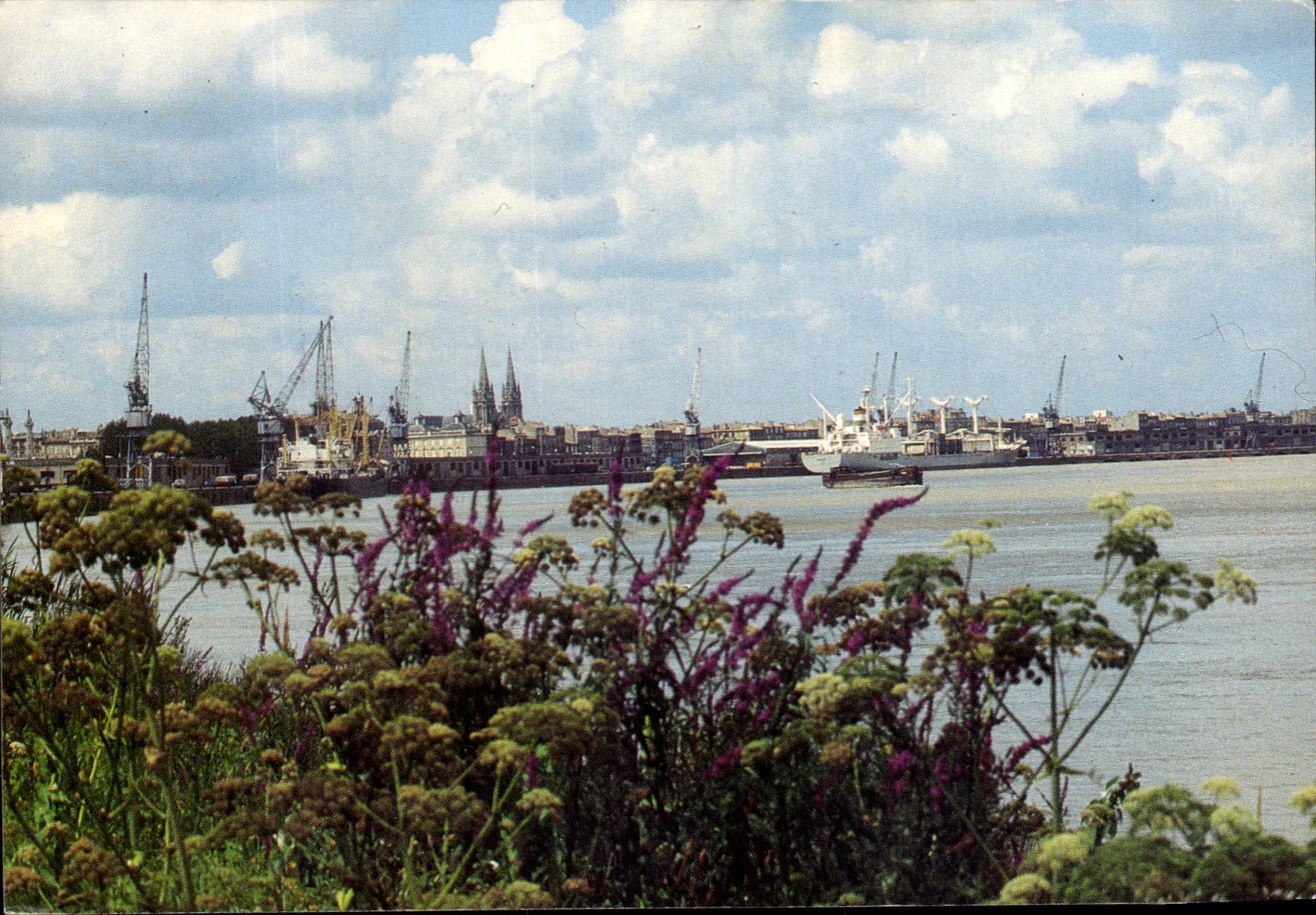 CPM Bordeaux Le Port De Bordeaux Sur La Garonne