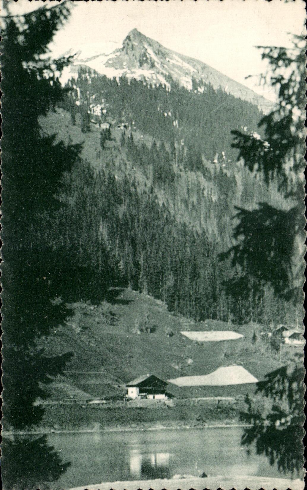 CPA Thonon Les Bains Lake Montriond