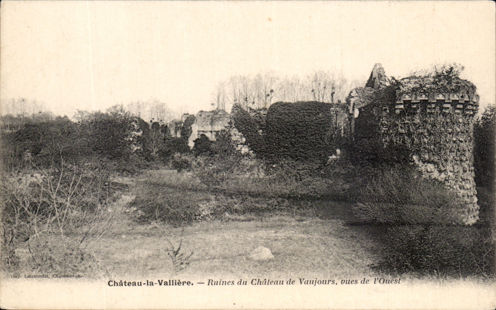 CPA Chateau la Valliere Ruines du chateau de Vaujours
