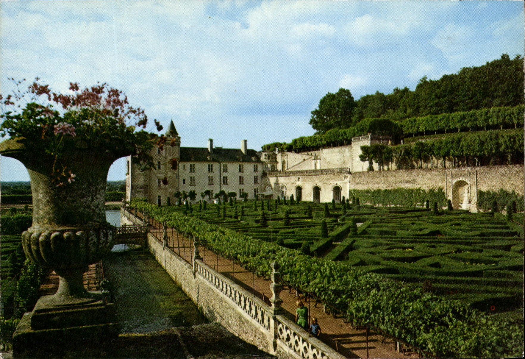 CPM Villandry Le Chateau Renaissance et les jardins