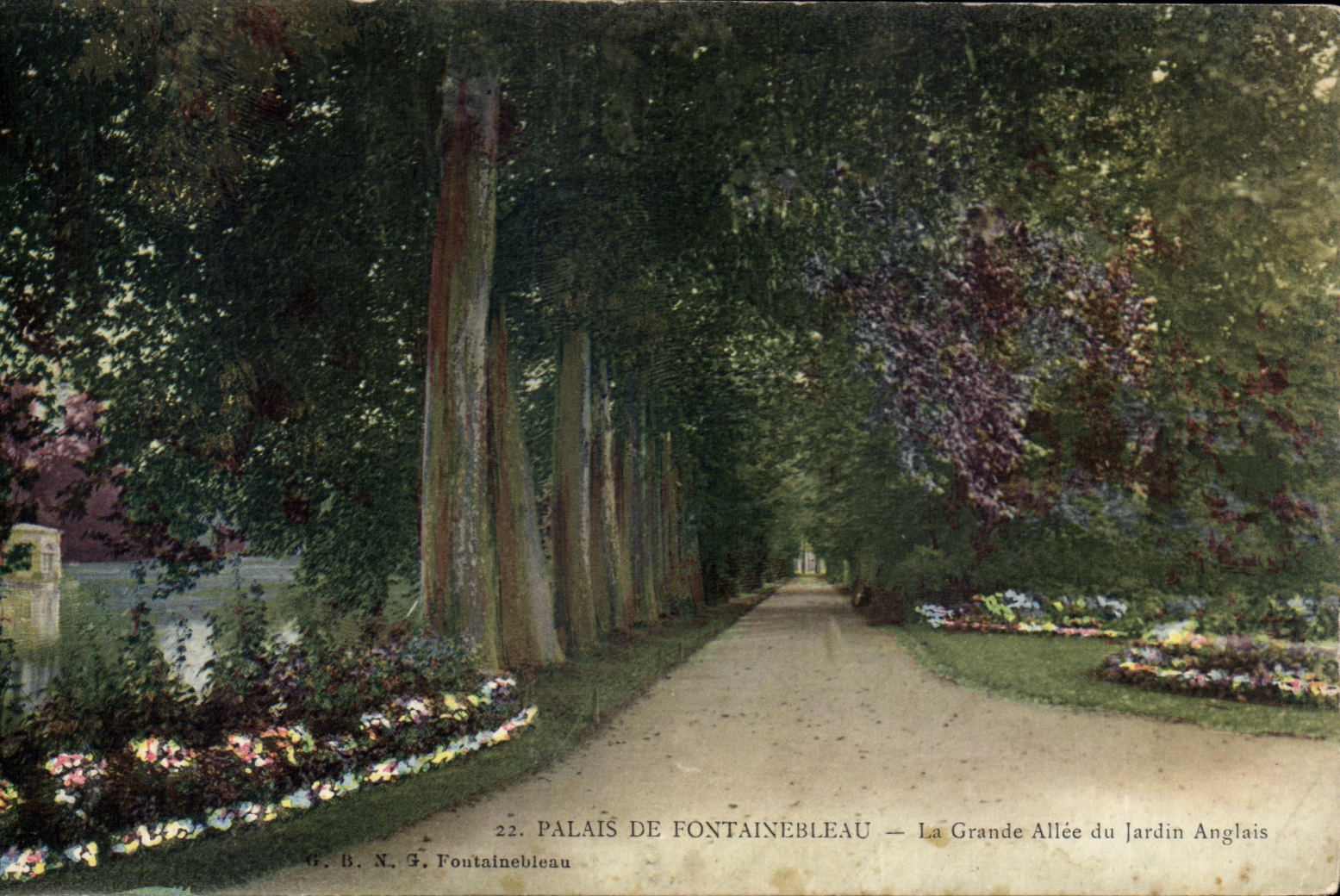 CPA Palais De Fontainebleau Le Grande Allee du jardin Anglais