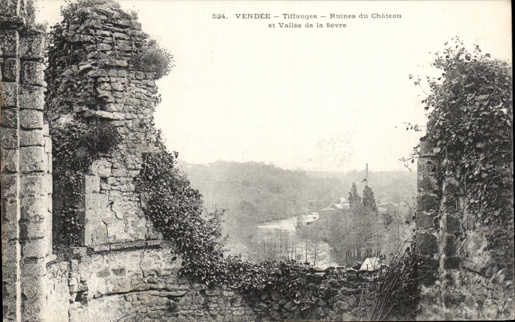CPA Vendee Tiffauges Ruines Du Chateau Et Vallee De La Sevre