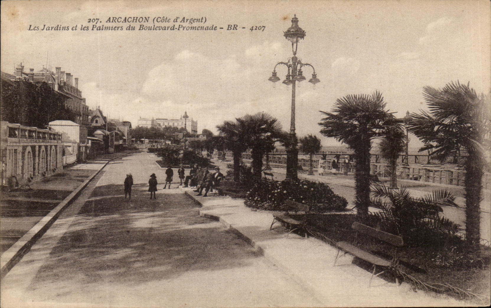 CPA Arcachon Les Jardins et les Palmiers du Boulevard Promenade