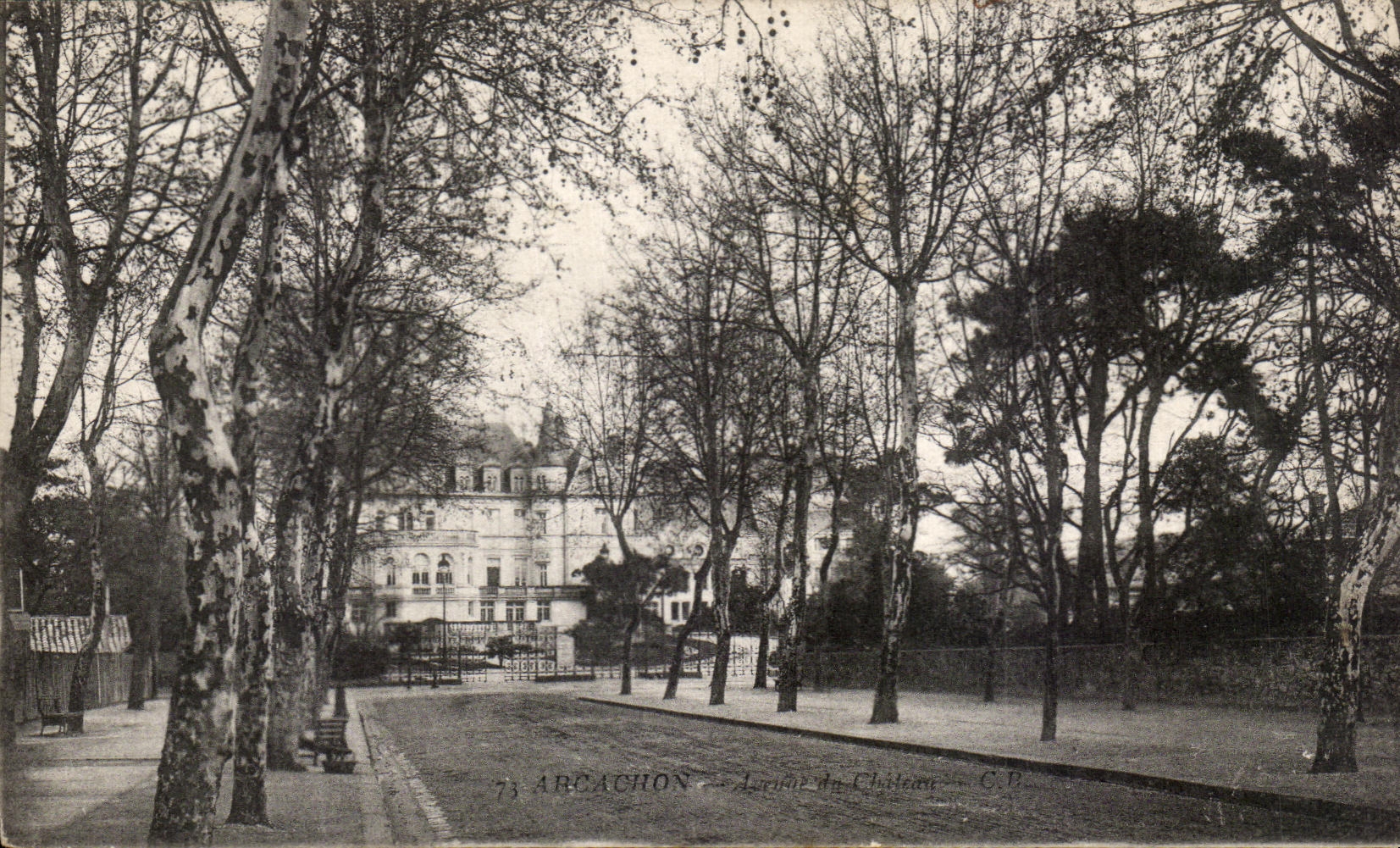CPA Arcachon Avenue du chateau