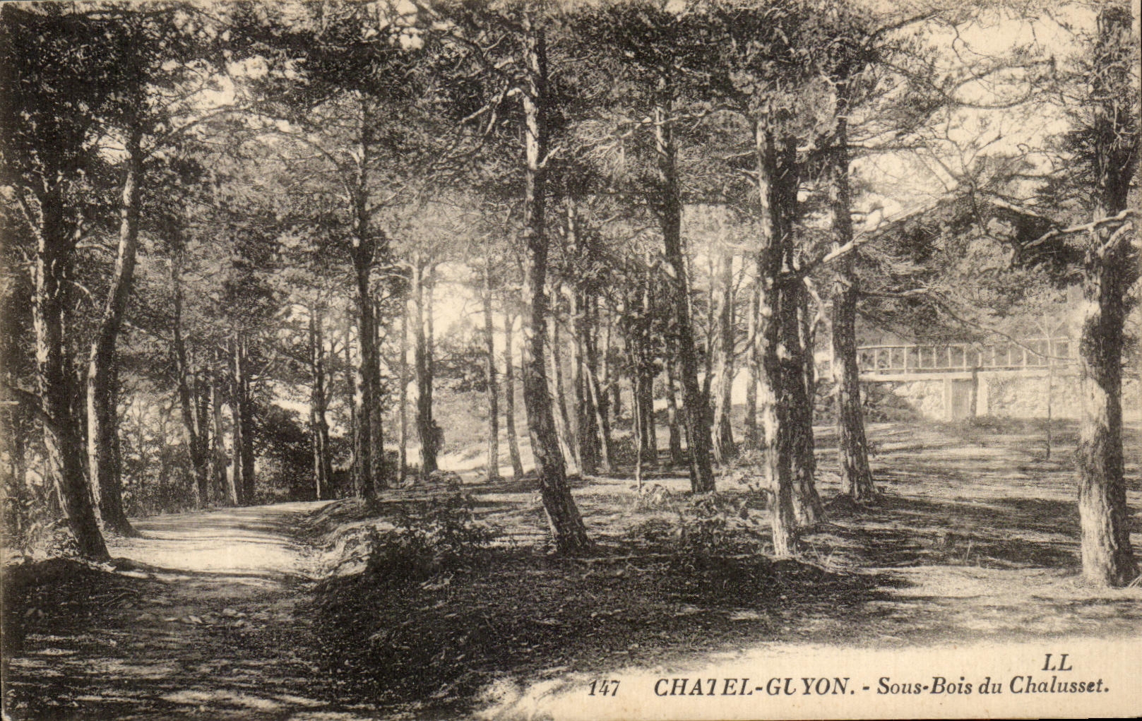 CPA Chatel Guyon debajo de la madera de Chalusset