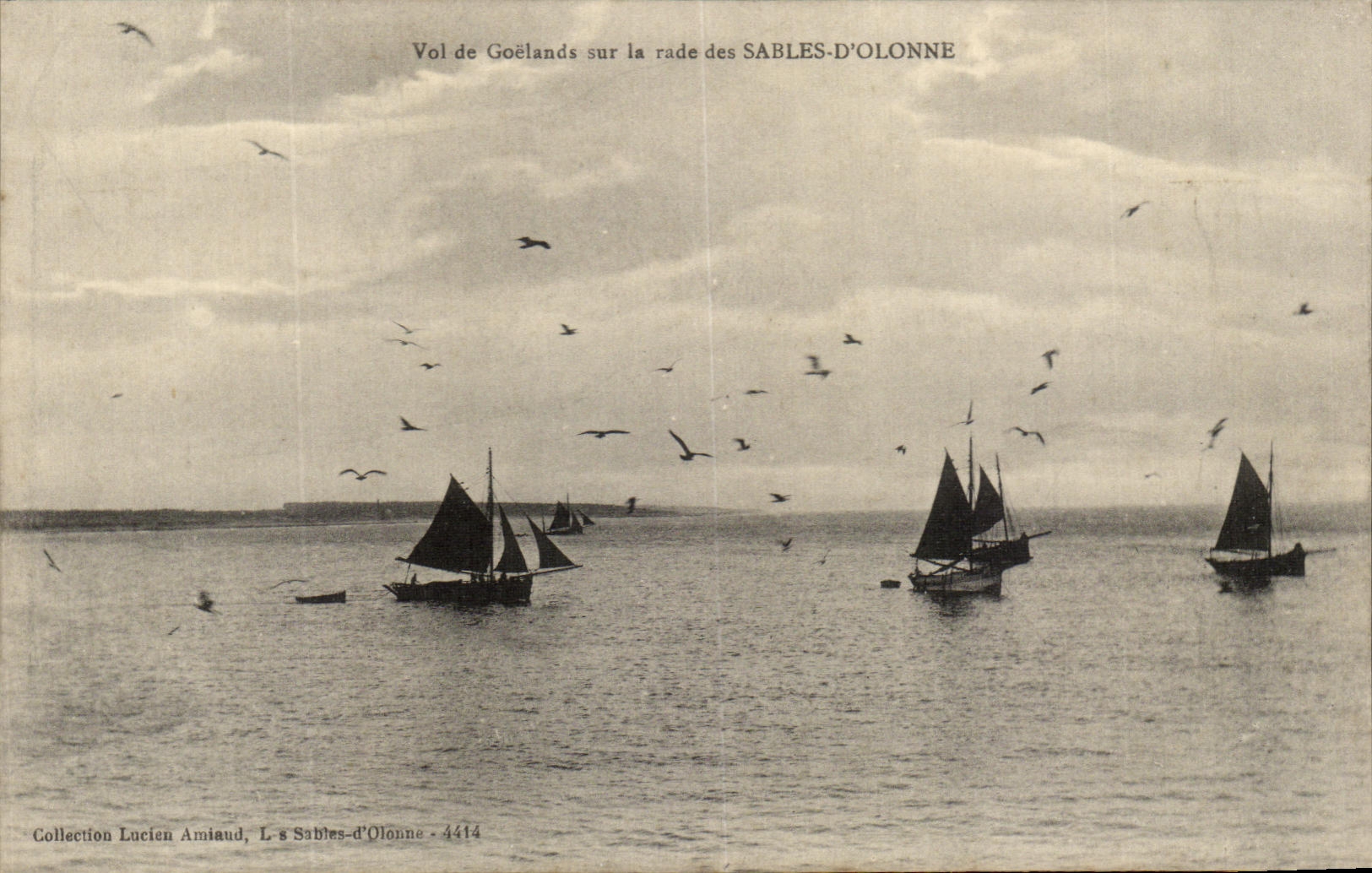 Vuelo de CPA de gaviotas en los caminos del d'Olonne de los Sables