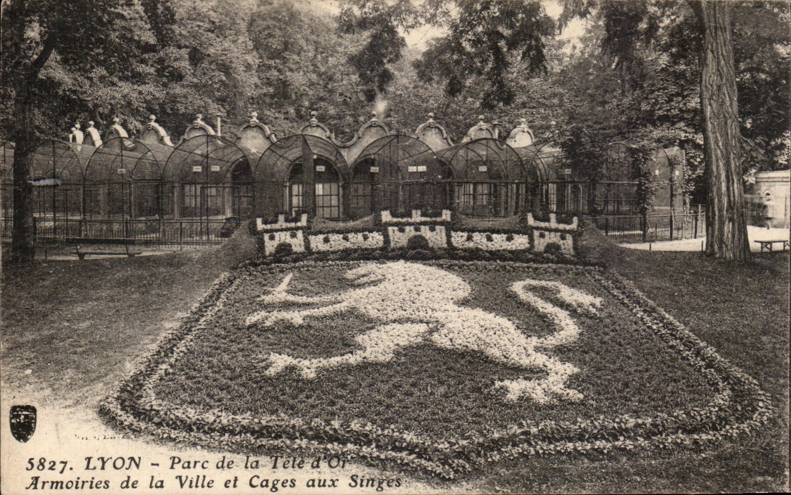 CPA Lyon Park of the Head of Gold Armorial bearings of the city and cages to the monkeys Lion