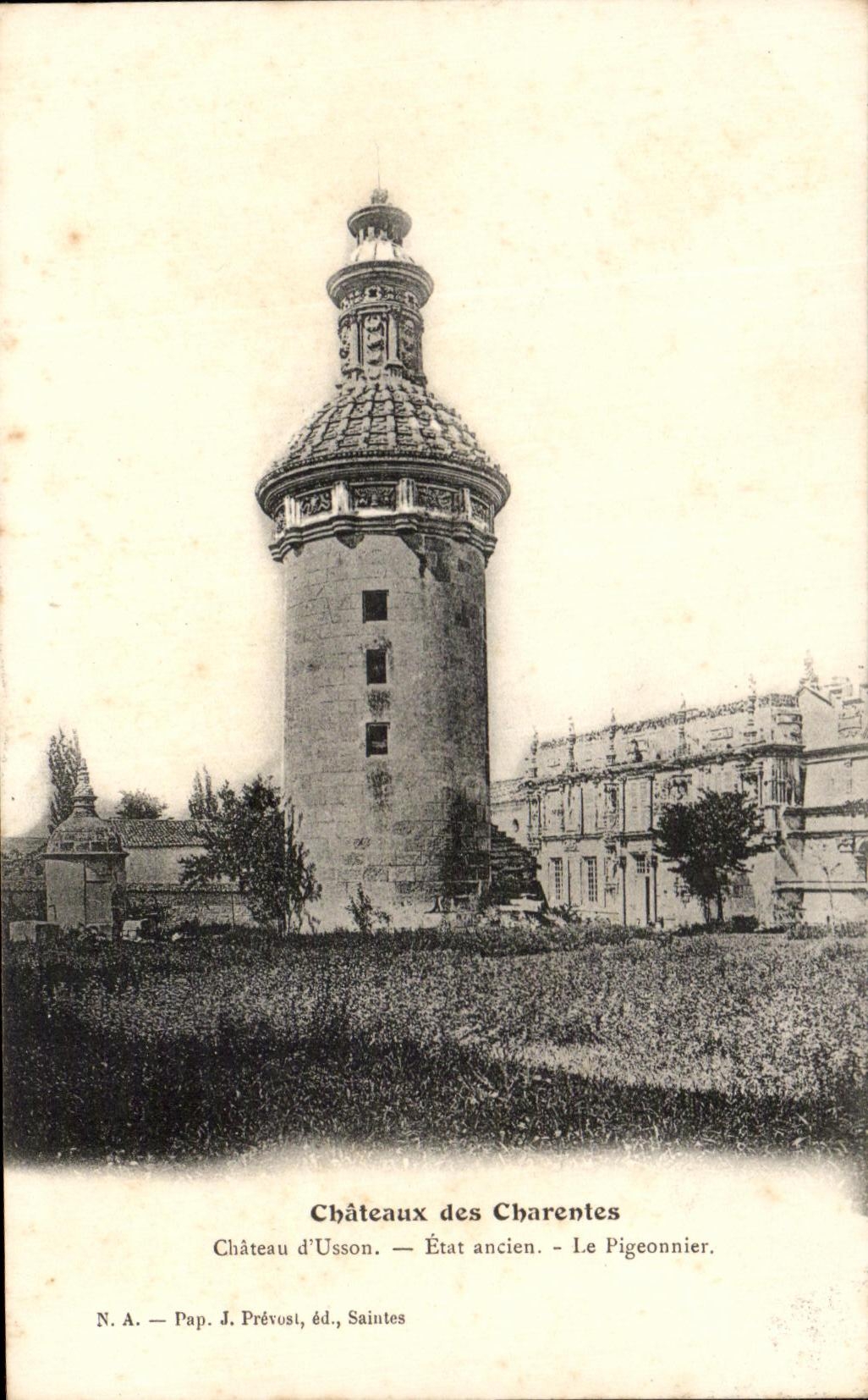 CPA Chateau d'Usson Etat ancien La pigeonnier Pigeon