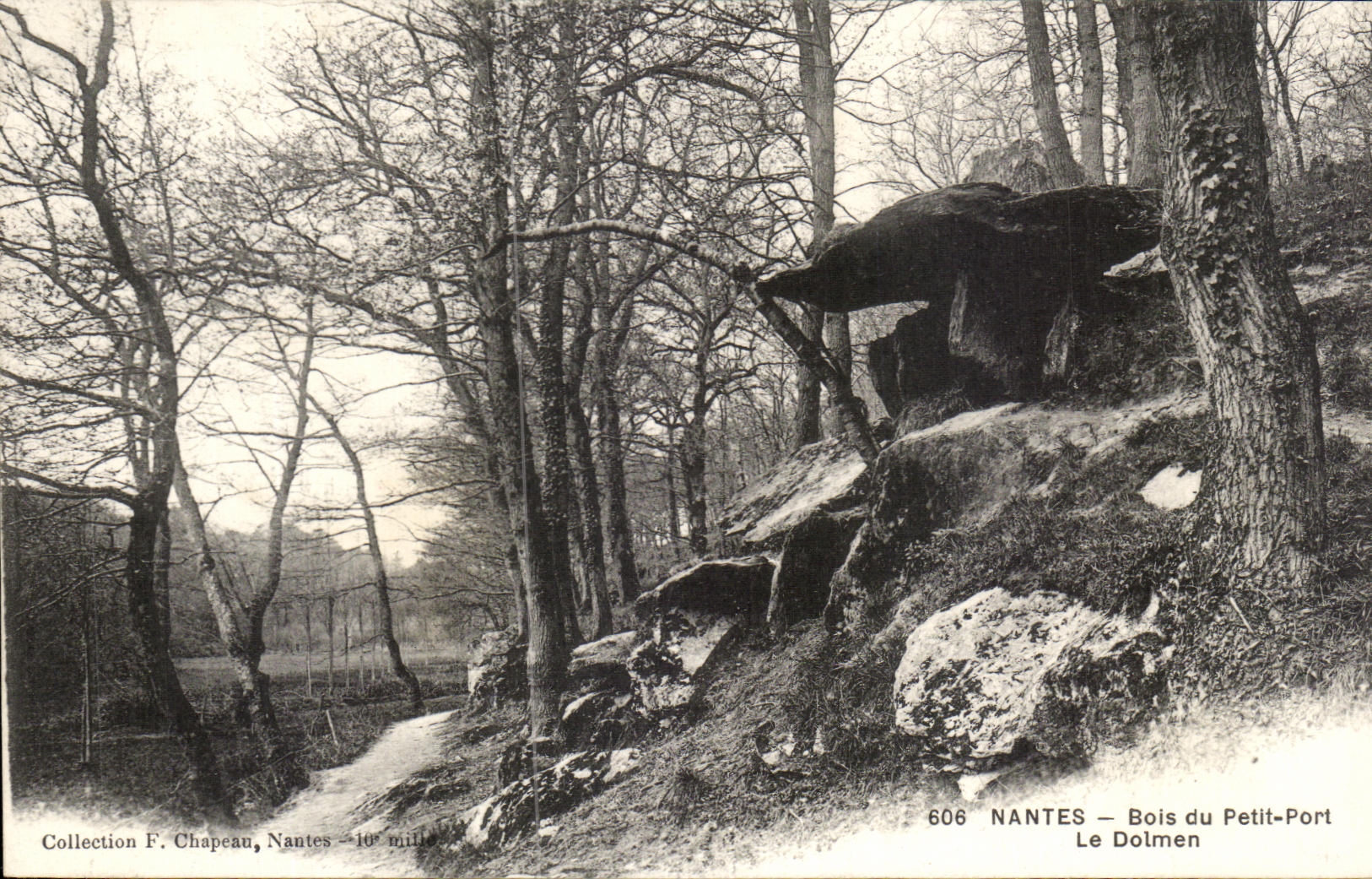 CPA Nantes Wood Of the Small Port the Dolmen