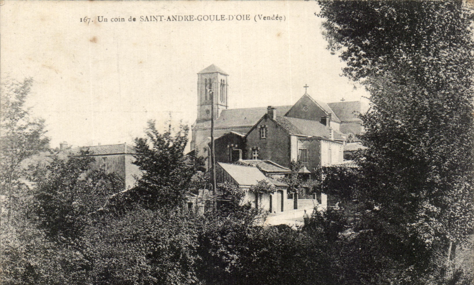 CPA Un Coin de Saint Andre Goule D'Oie