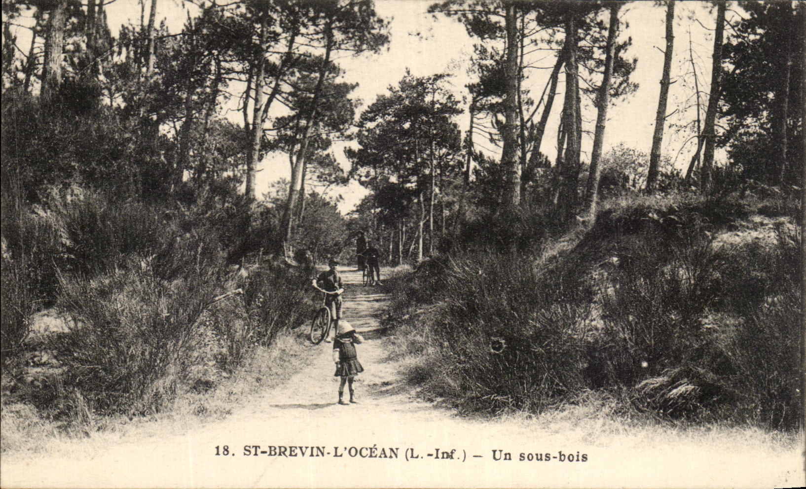 CPA St Brevin the Ocean under wood