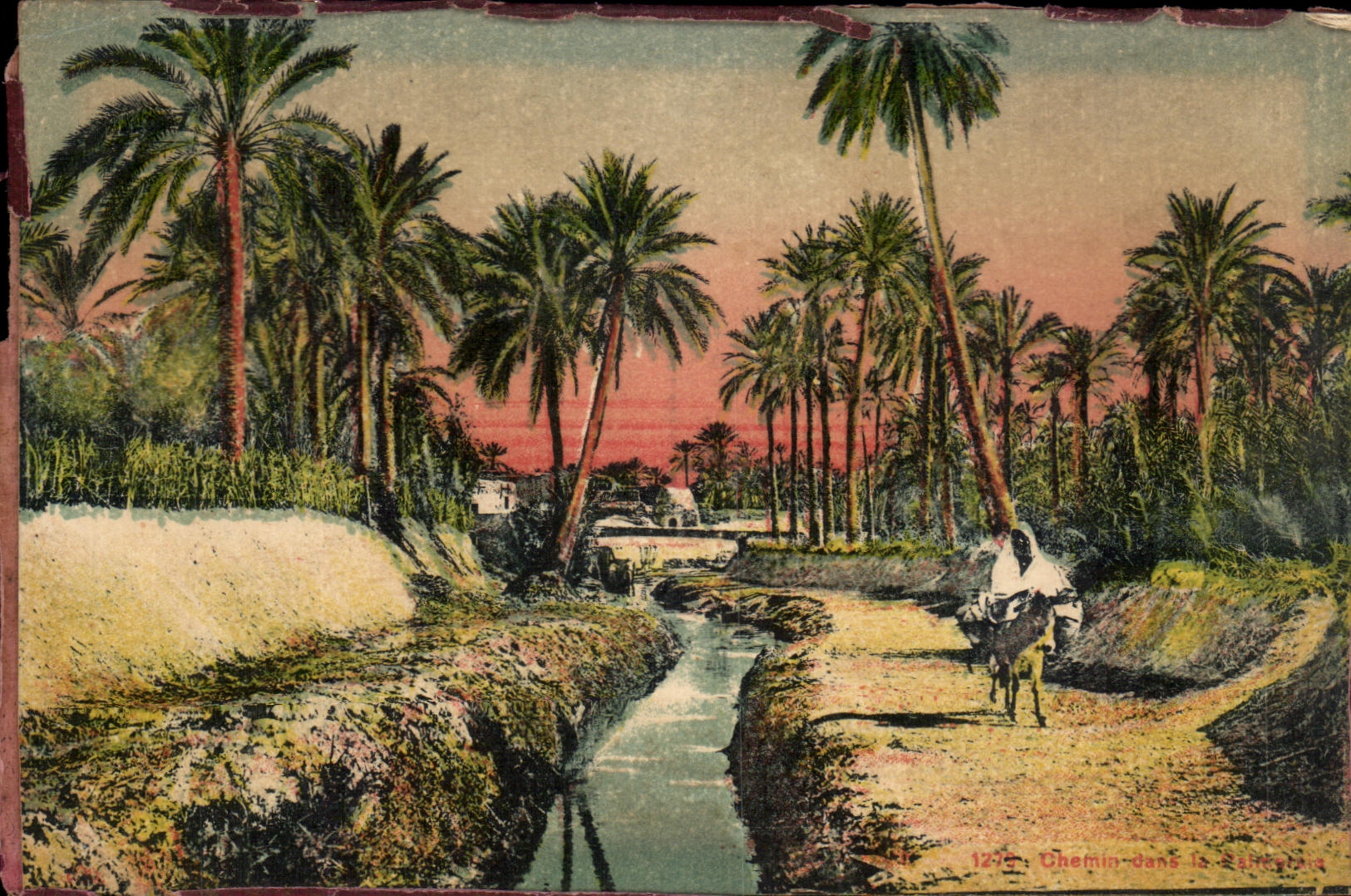 CPA Chemin dans la palmeraie