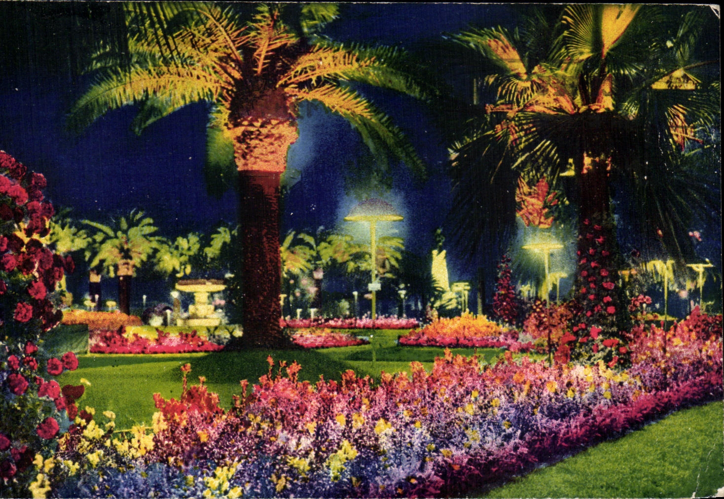 CPA Nice Le Jardin du Roi Albert 1er (effet de nuit)