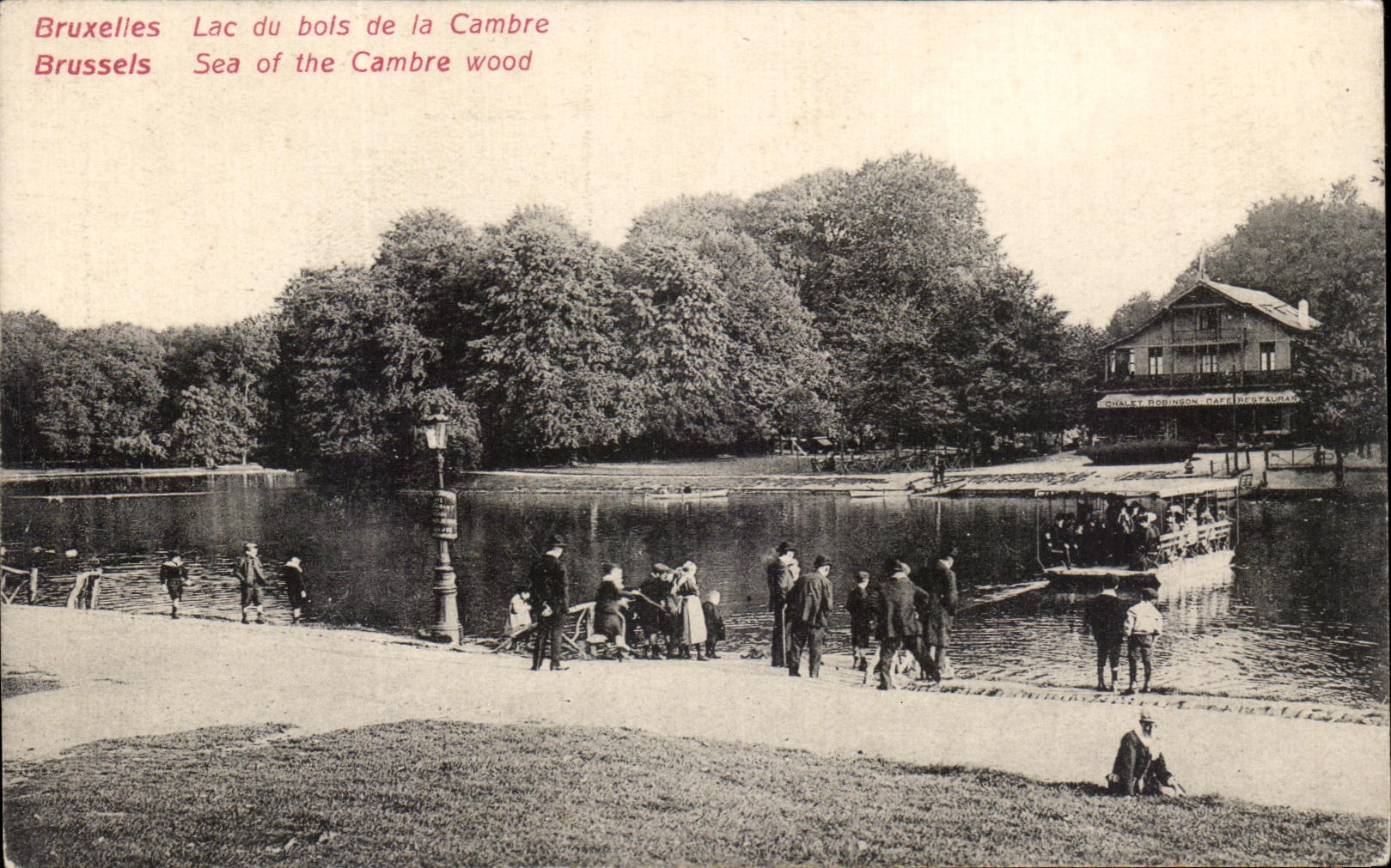 Laca de CPA Bruselas de la madera de combas