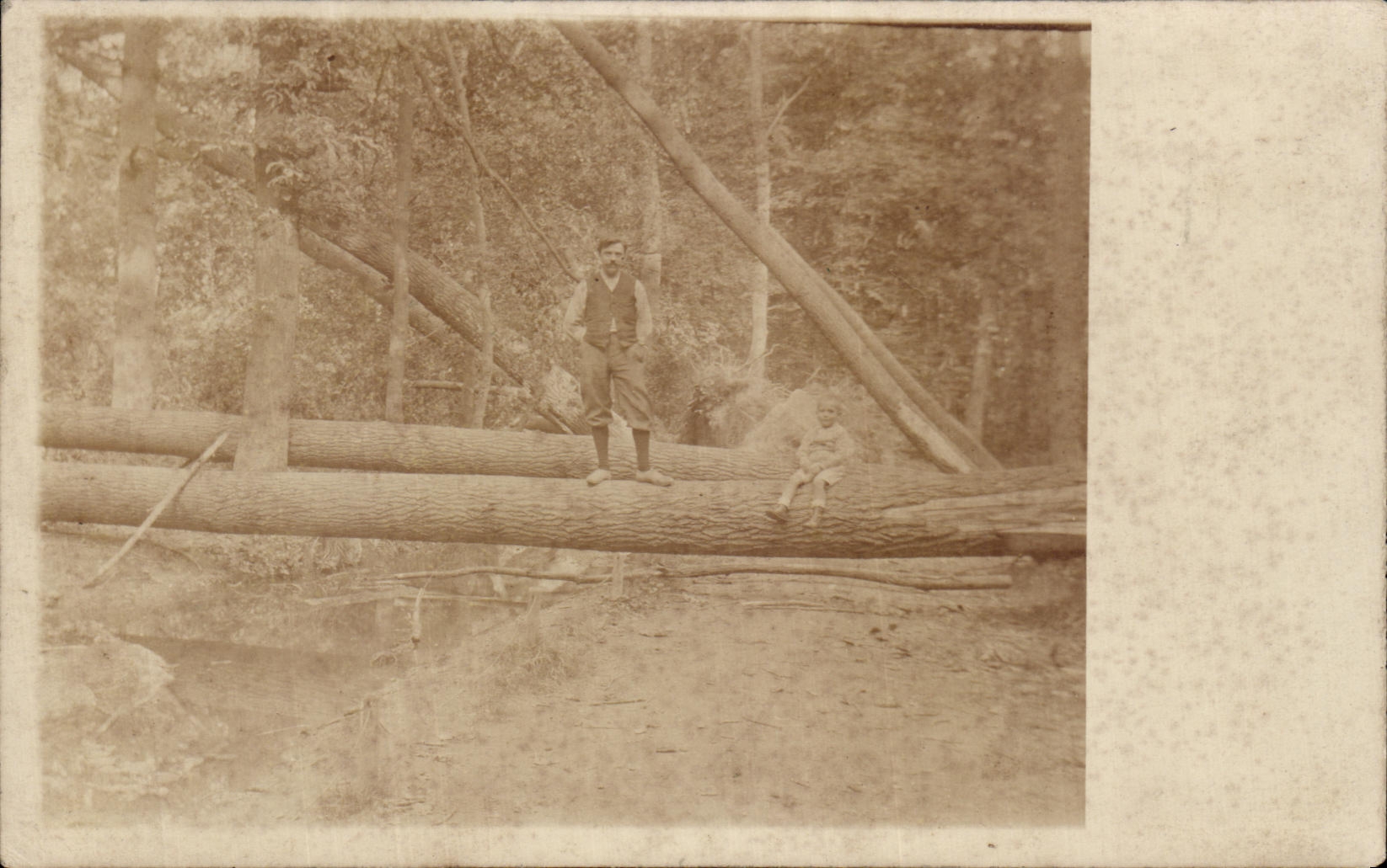 CARTE PHOTO Bucheron 