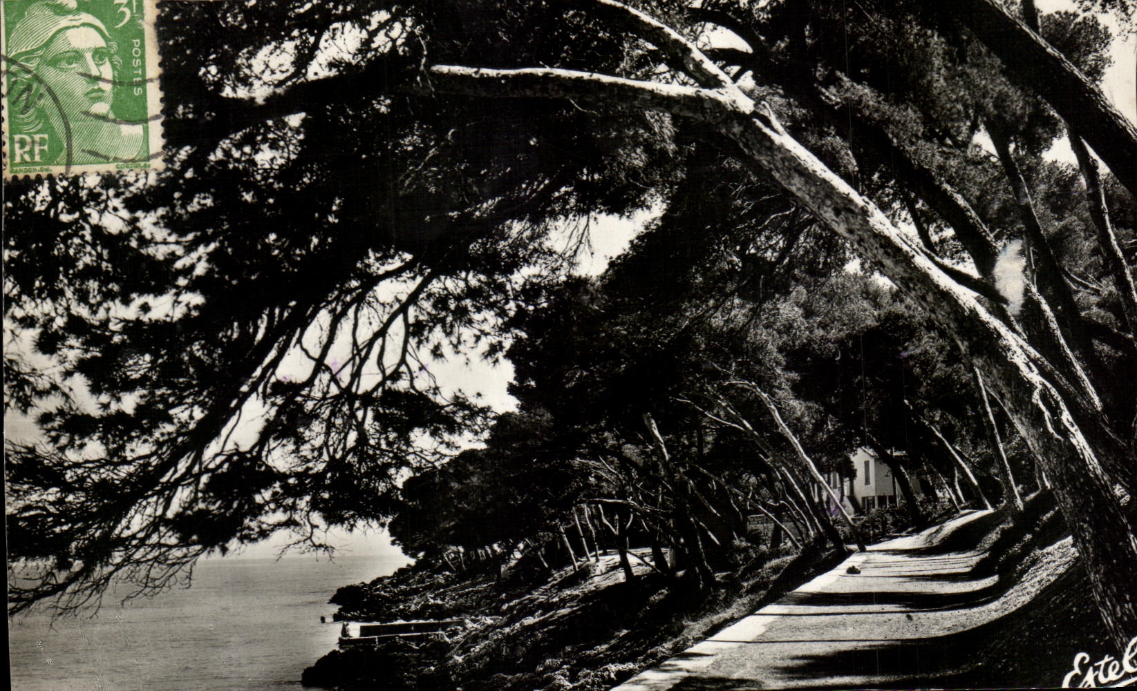 CPA Menton Pronienade Of the Cape Martin