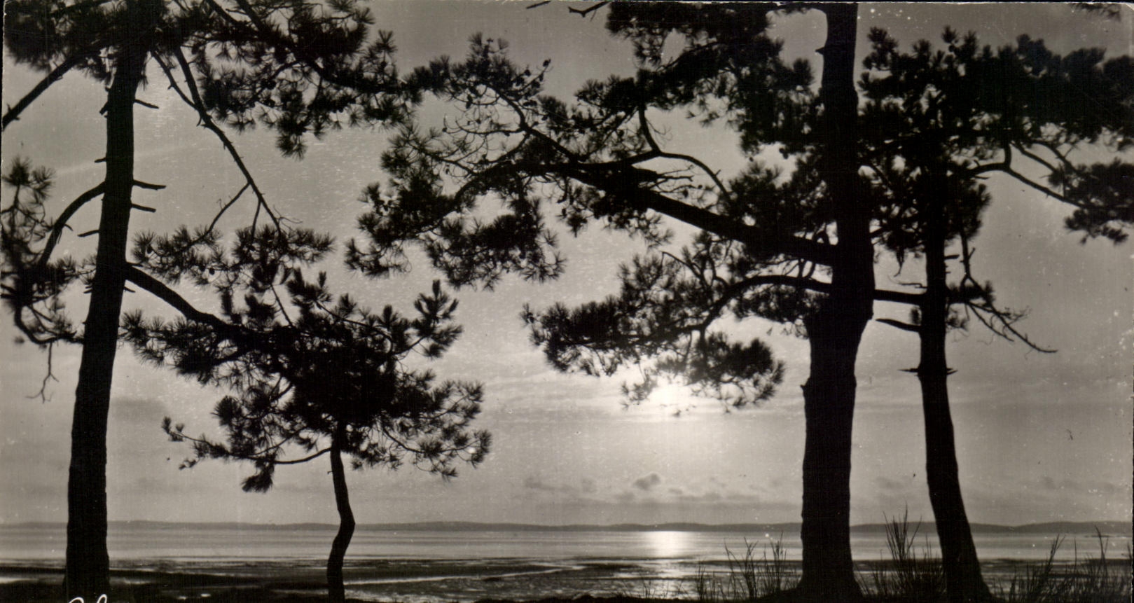 CPA Bassin D'Arcachon Coucher De Soleil Pur Le Bassin