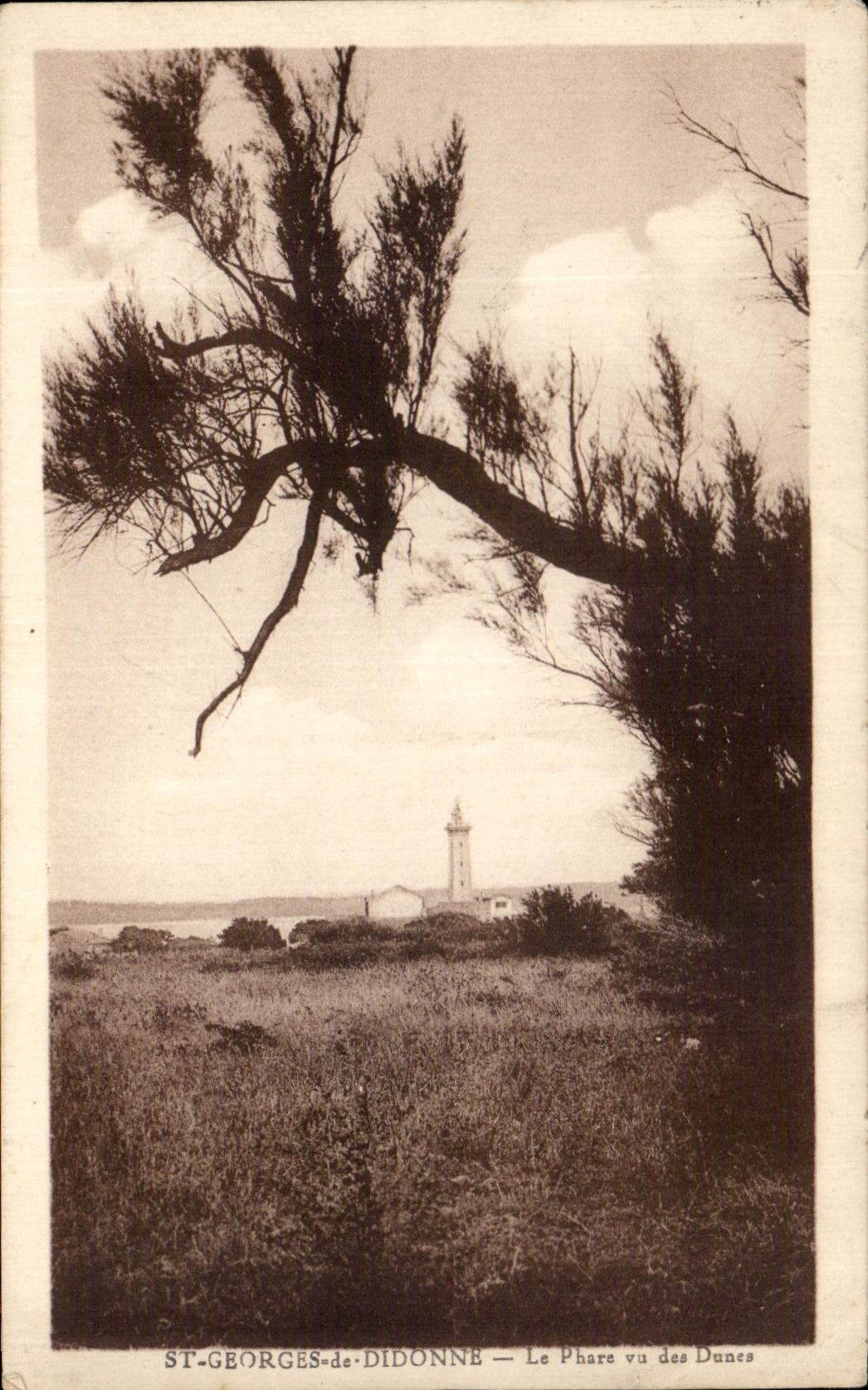 CPA St Jorte De Didonne el faro visto de las dunas