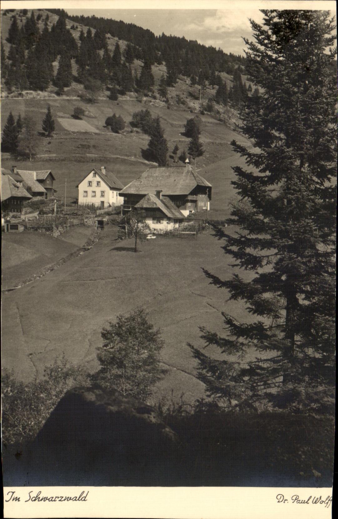 CPA Im Schvarzwald