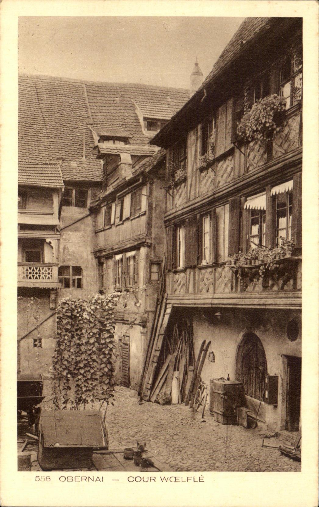 CPA Obernai Woelfle Court