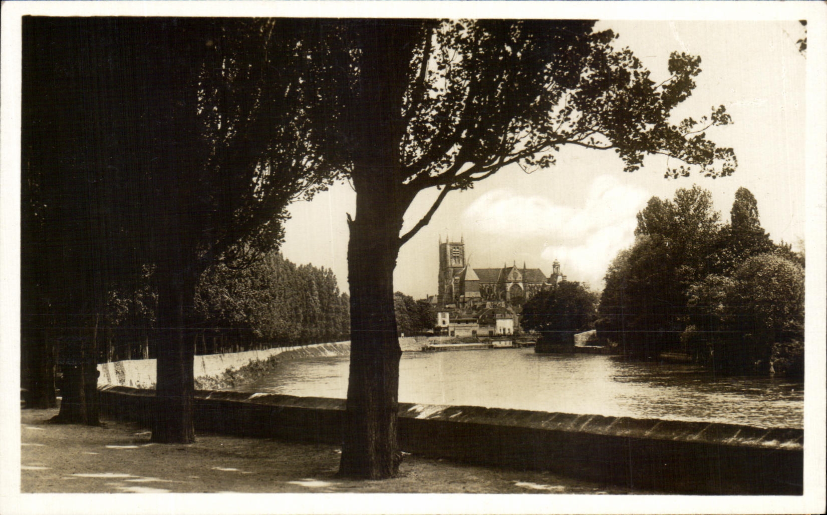 CPA Meaux Promenades Des Trinitaires Vue Sur La Marne Et La Cathedrale