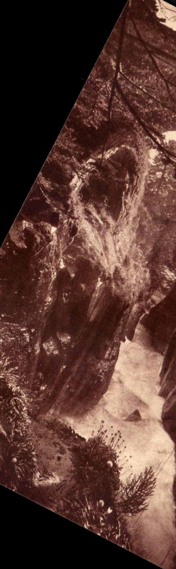 CPA Cauterets environs Le Pont d'Espagne