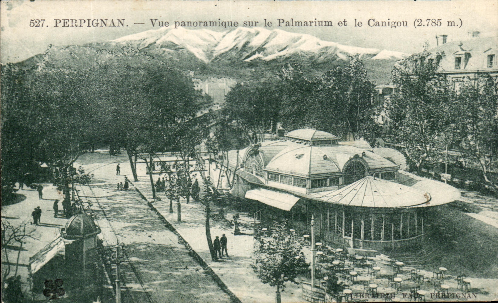 CPA Perpignan Vue Panoramique sur le Palmarium et le Canigou