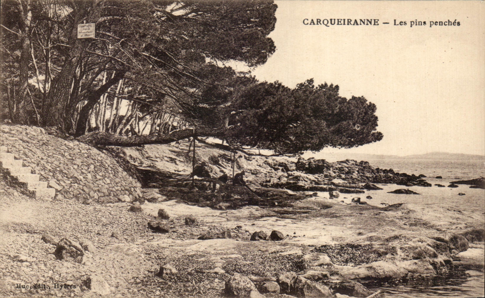 CPA Carqueiranne Les Pins Penches