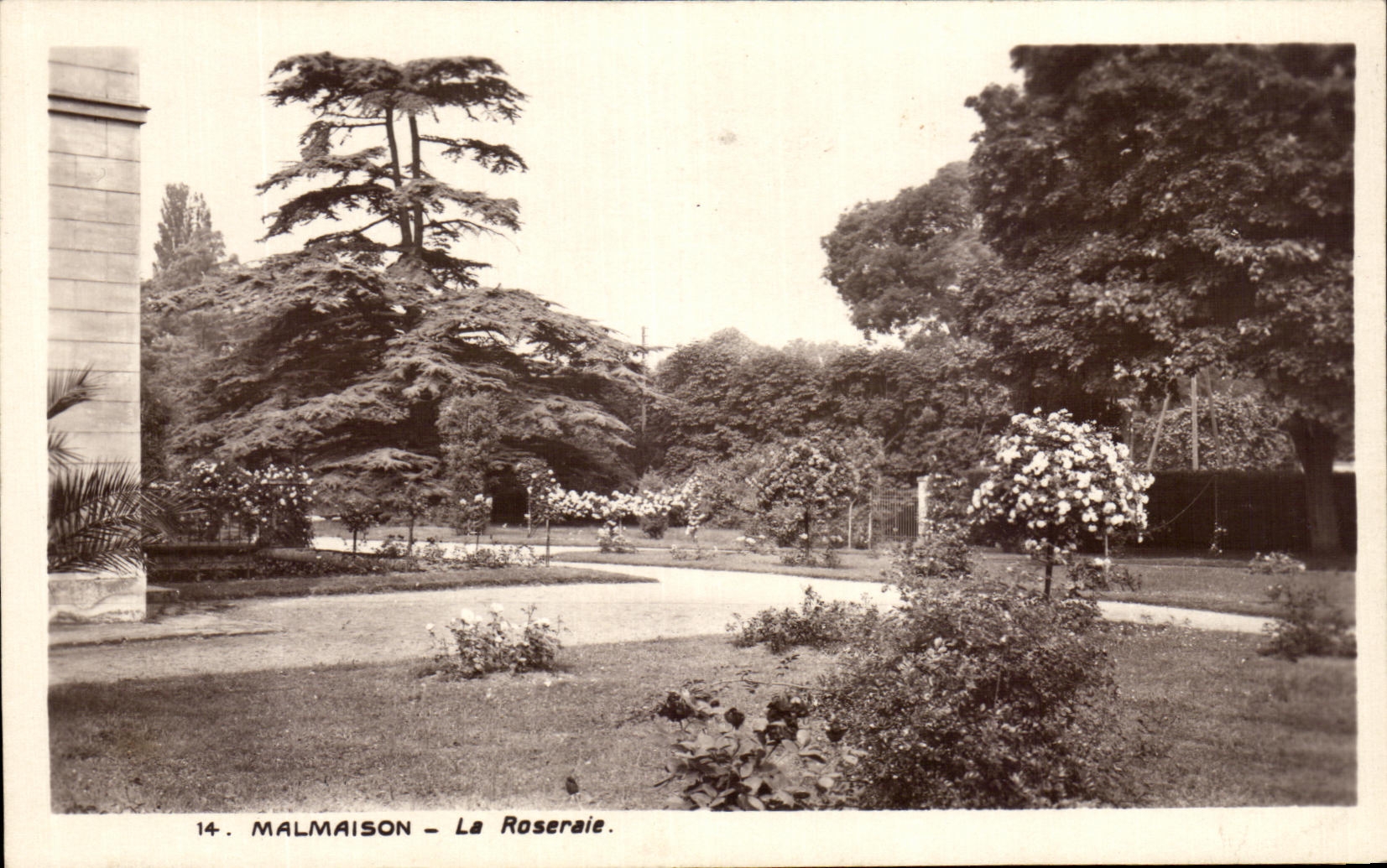 CPA Malmaison the Rosery