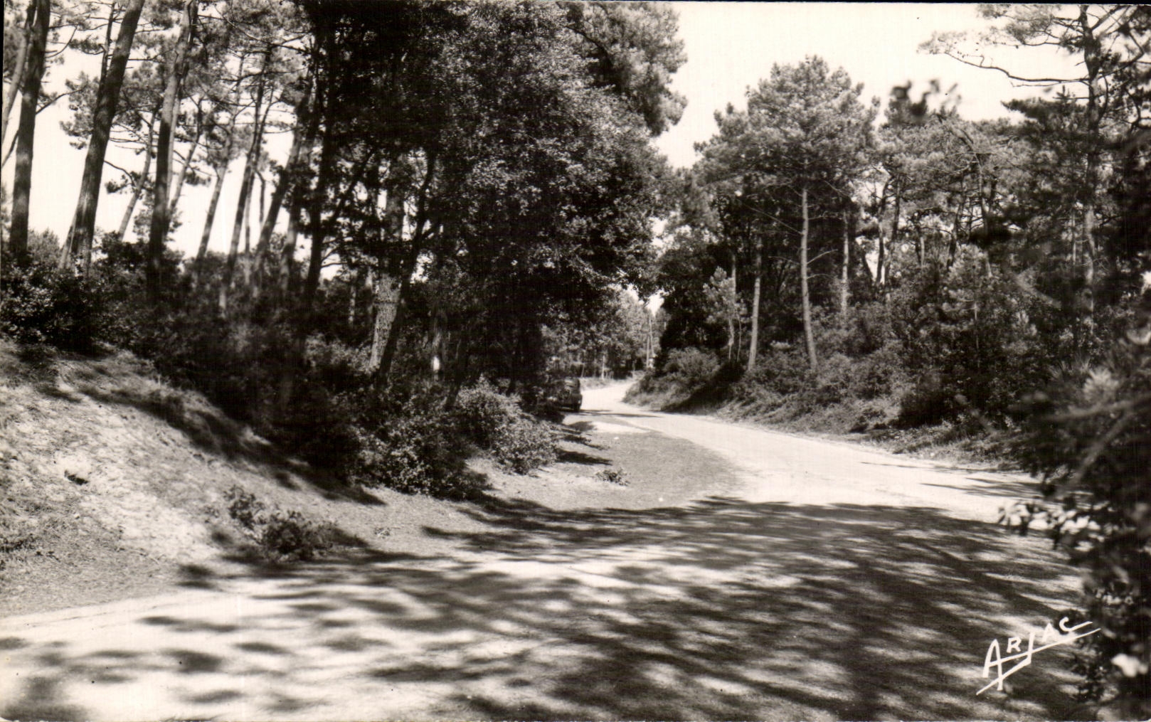 CPA Island D' Green Oleron Wood