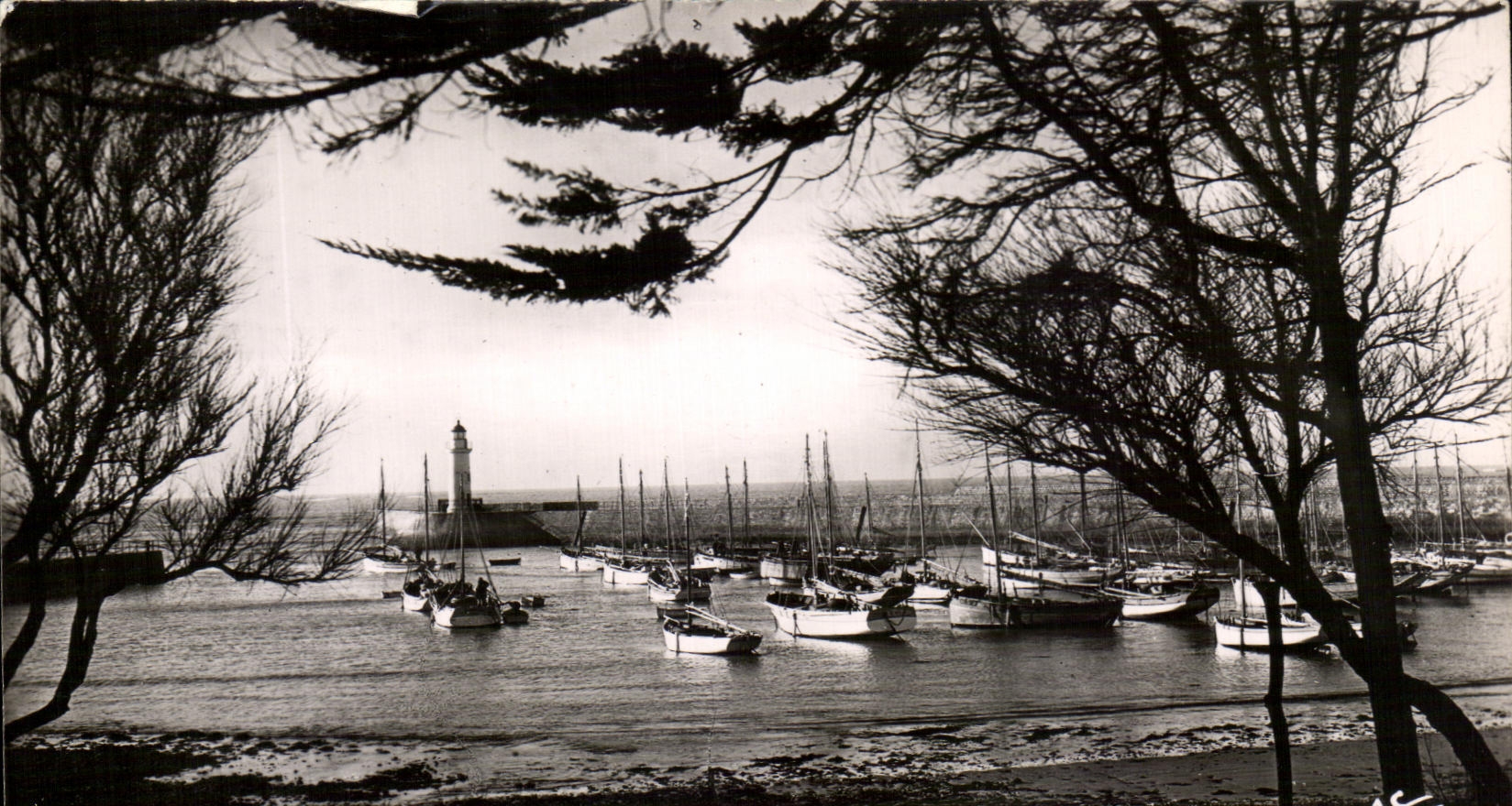 CPA Island D' Oleron Cotiniere the Port Boats