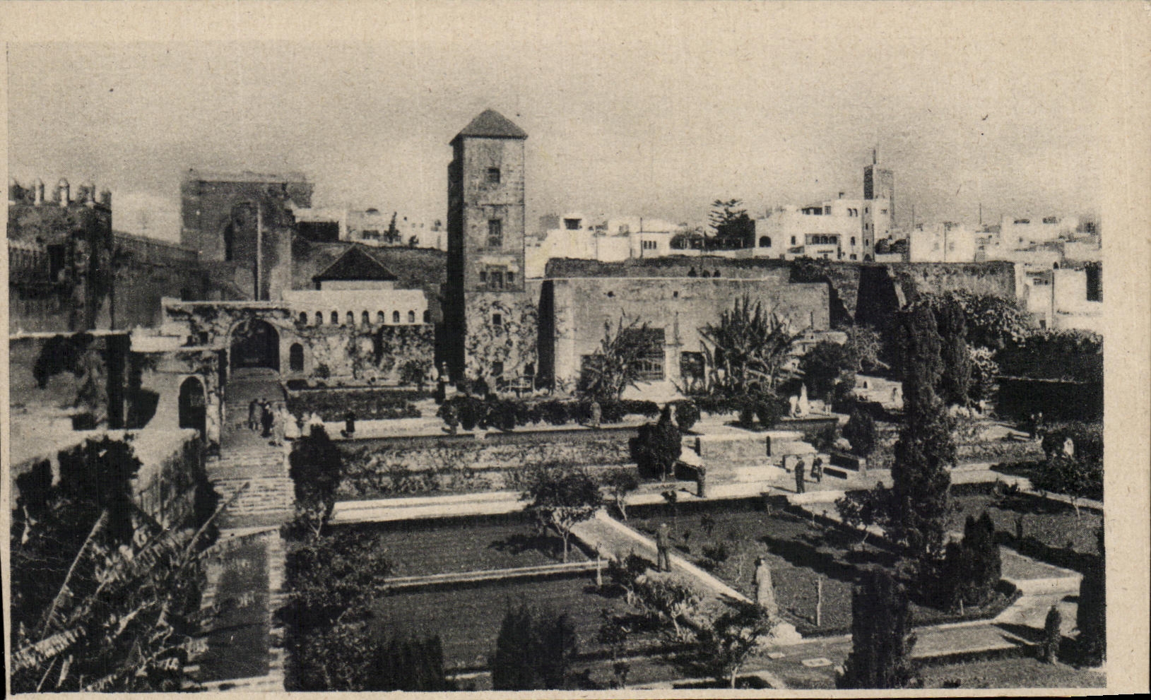 VINTAGE POSTCARD Reduction Garden of Oudaias Seen D Morocco unit