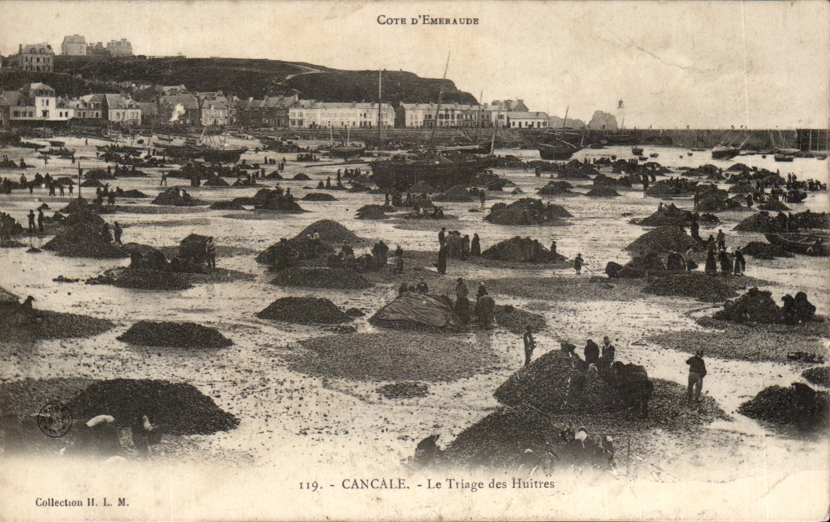 CPA Cancale Le Triage Des Huitres Peche