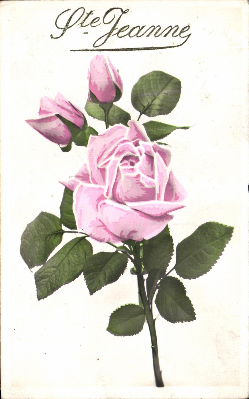 Fantasia co de la POSTAL de la VENDIMIA Flores de Jeanne Rose